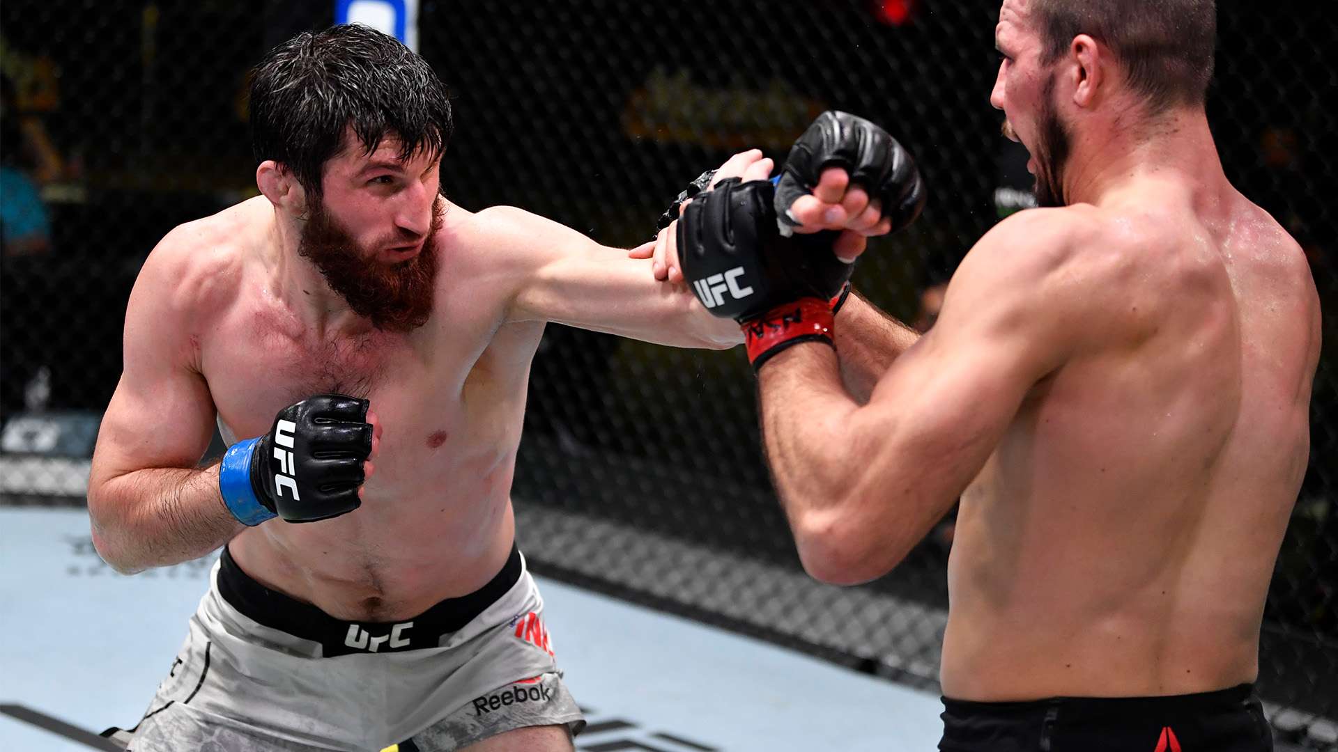 对于亚当斯 对于亚当斯